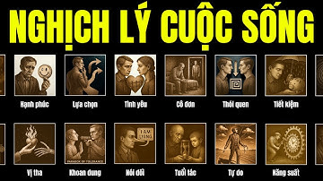 120+ Phút Giải Thích Những Nghịch Lý Trong Cuộc Sống Để Bạn Ngủ Thiếp Đi