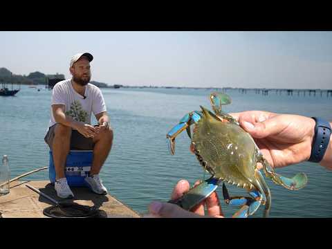 I catch and cook Blue Crabs