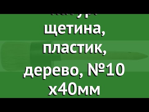 Кисть MASTER, натур. щетина, пластик, дерево, №10 x40мм (Stayer) обзор 0141-40 Кисть MASTER, натур. щетина, пластик, дерево, №10 x40мм (Stayer) обзор 0141-40