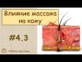 Влияние массажа на кожу | Урок 4, часть 3 | Обучение массажу