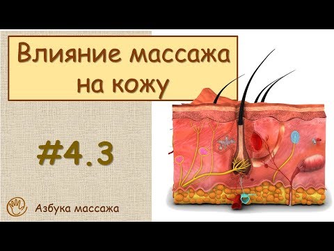 Влияние массажа на кожу | Урок 4, часть 3 | Обучение массажу