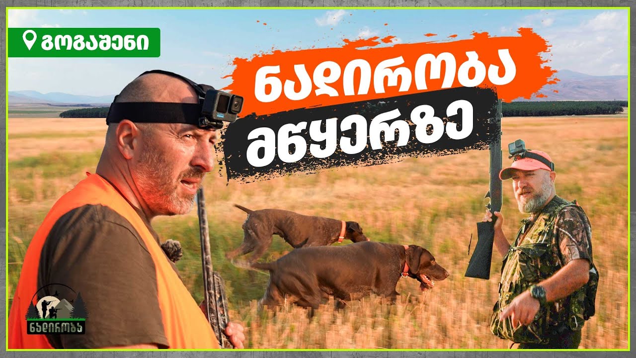 ნადირობა მწყერზე – ახალქალაქი