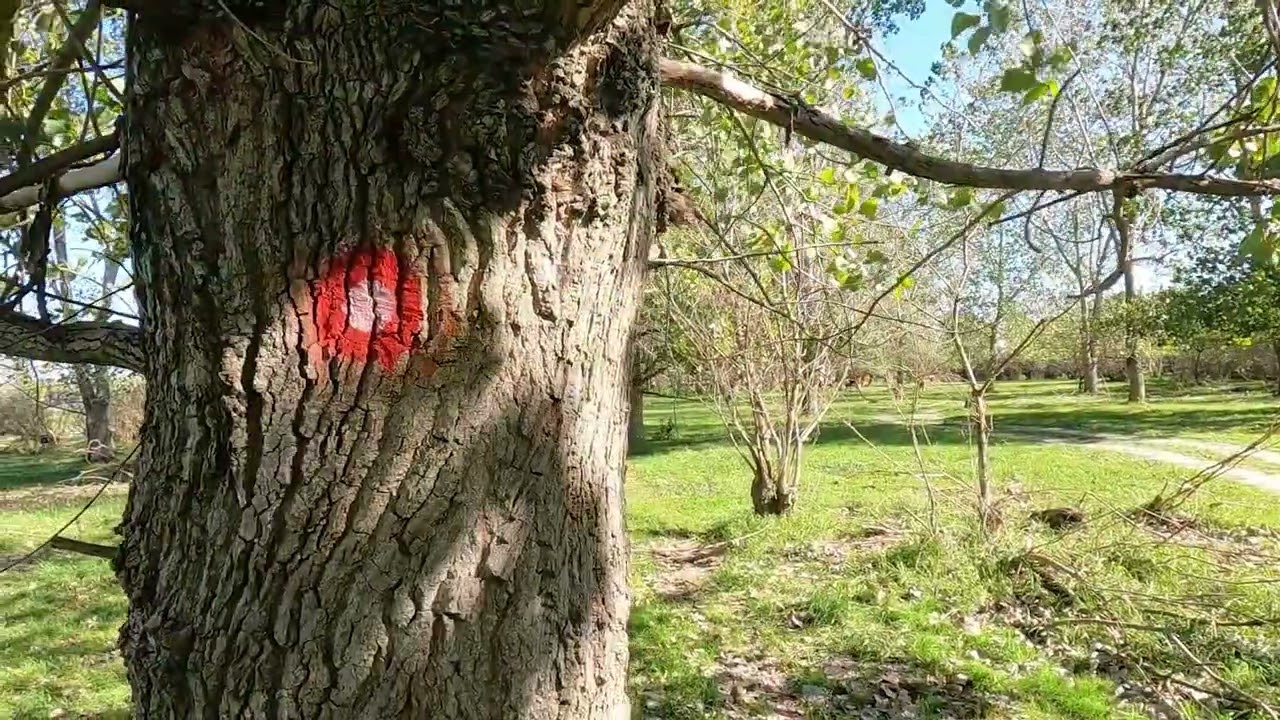 Belegiška oaza prirode - Otvaranje prve pešačko rekreativne staze u Opštini Stara Pazova