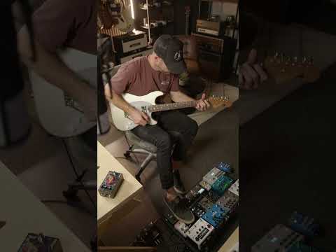 Dr. Z Z-80 ToneX Captures Sneak Peek // Tone Shepherd DR80