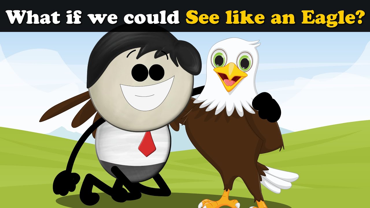 What if we could See like an Eagle? + more videos | 