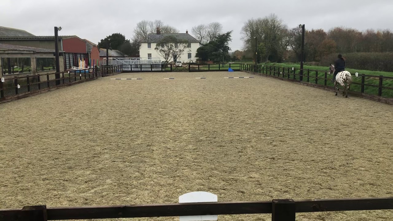 Rowena Parker riding Falcon Prelim 13 open November 2019 YouTube