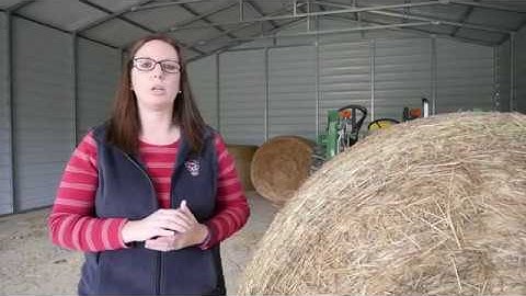 How to Take a Hay Sample