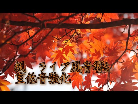 スピッツ/楓　ライブ風音響