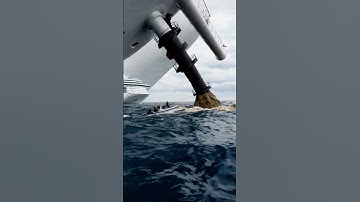 Cruise ship dumps thousands of gallons of sewage and wastewater #ocean #cruiseship #sewage #beach