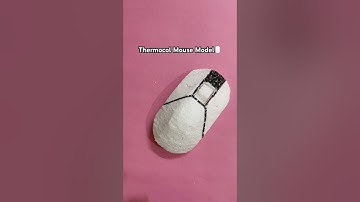 Thermocol Mouse Model 🖱️