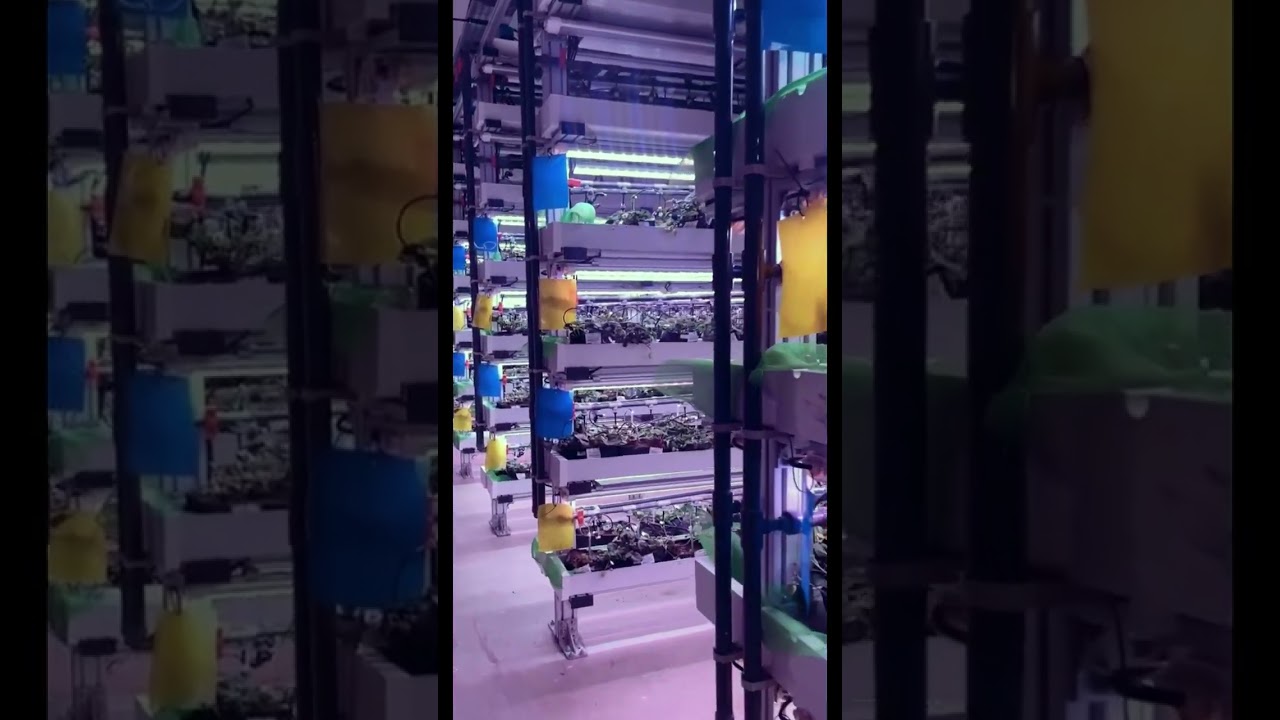 beautiful vertical farm 