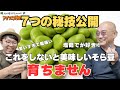 【７つの秘技】大きくておいしいそら豆の育て方