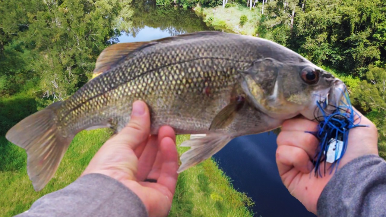 Tough Morning On The Bass | But We Persisted & It Paid Off