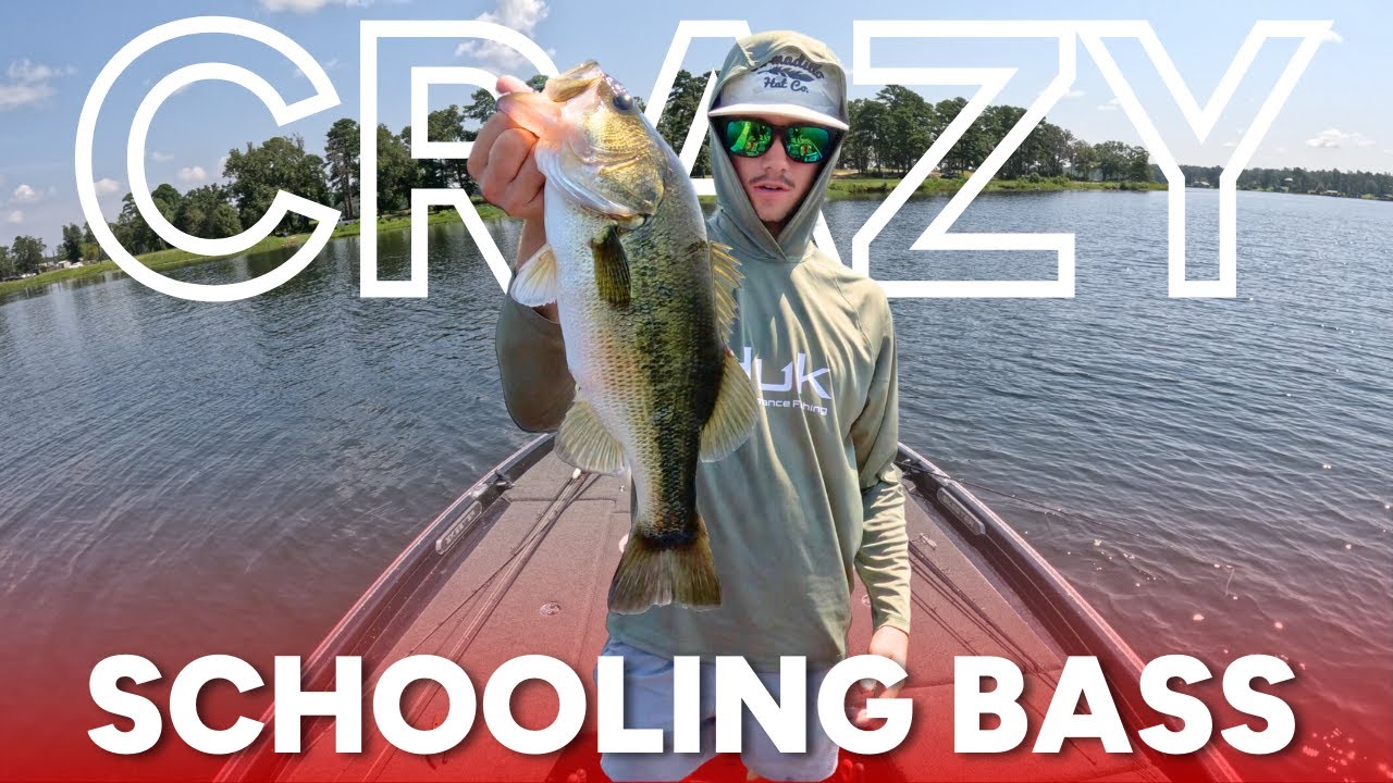 HOT Summer Bass Fishing!!
