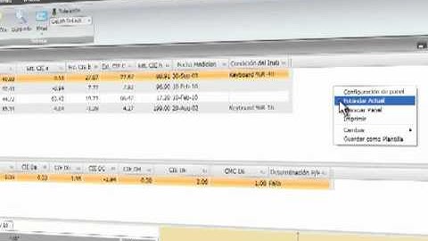 Datacolor Tools v2.0: Plantilla de datos