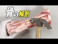 骨の内側が衝撃的すぎた