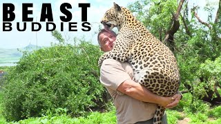 The Man Who Cuddles Leopards | BEAST BUDDIES by Beastly 6,393 views 6 months ago 7 minutes, 4 seconds
