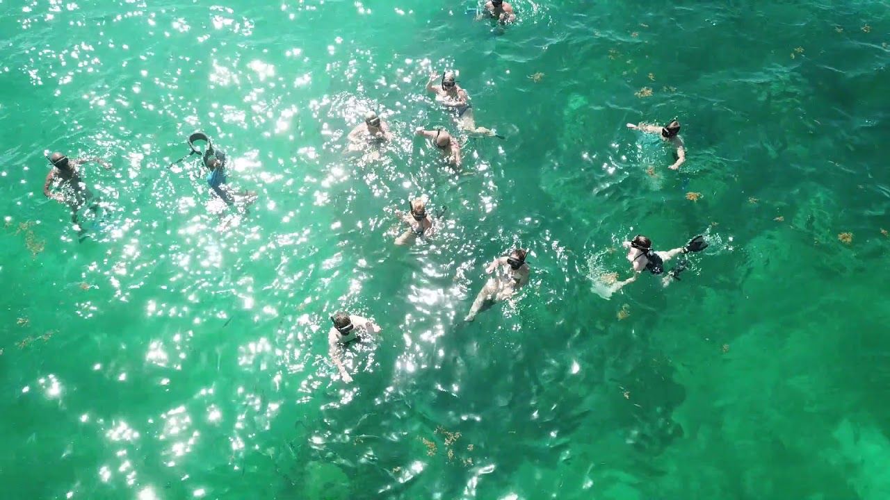 Best Snorkeling excursion in Punta Cana- Best cataamran company in Punta Cana