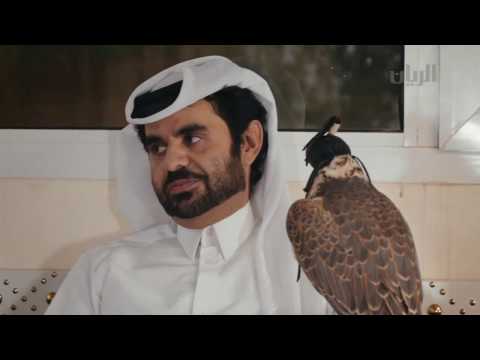 حمد بن غانم العلي المعاضيد قانص وهيجن على أوقه