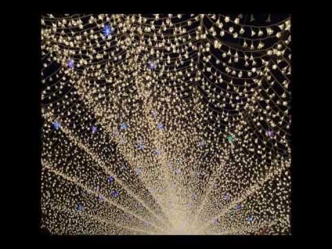 走っておいで恋人よ(カバー)
