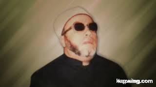 رؤيا النبيﷺ رؤية الشيخ كشك و الشعراوي والخطيب النيدي والغزالي والمحبين سلسلة رأيت النبي ﷺ