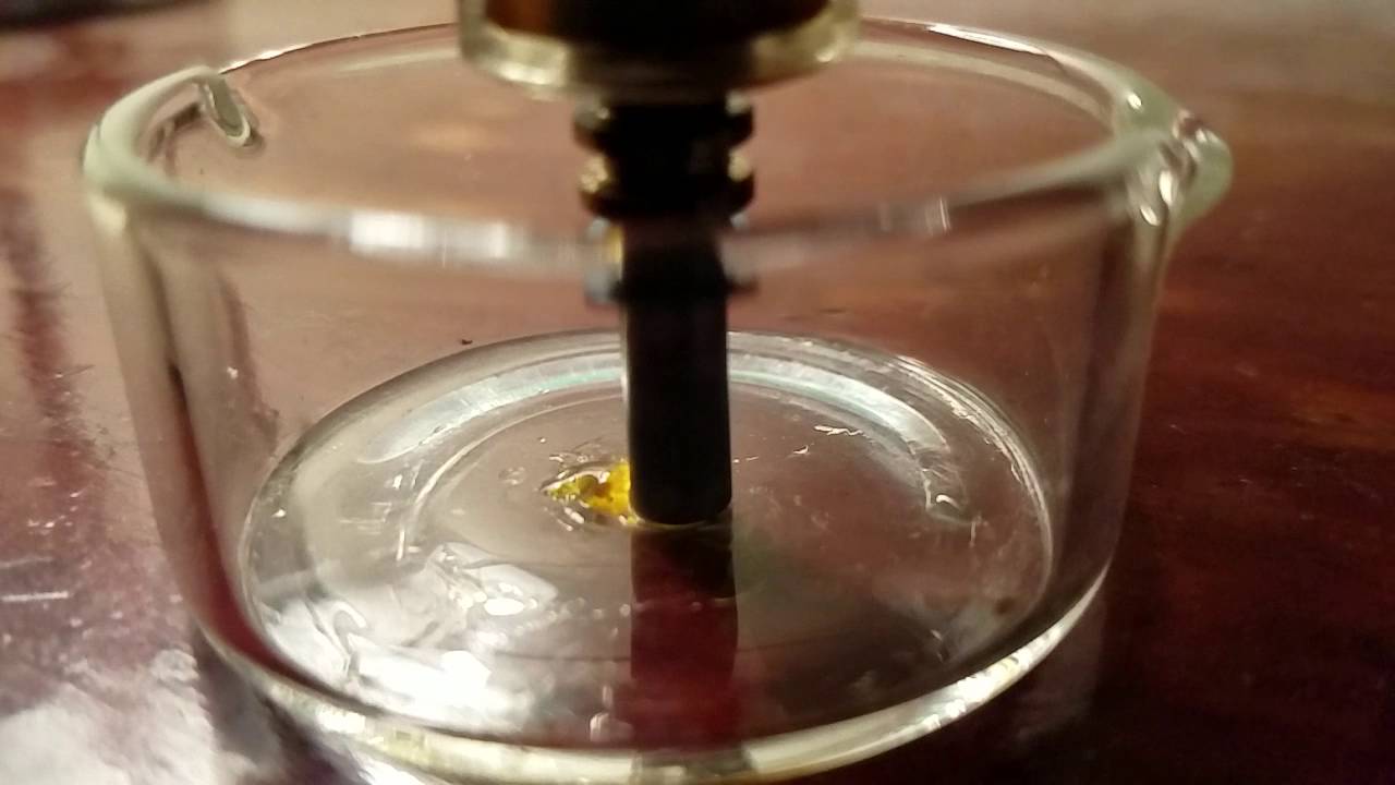 Slow-mo Nectar Collector