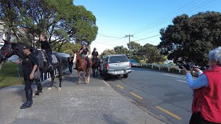 (4K) Anzac Day 2023 - Island Bay | Our community parade w/ HORSES!