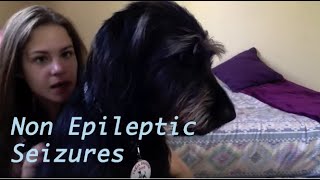 PNES: Non Epileptic Seizures. What is it/My story