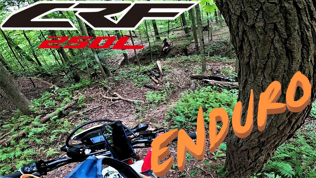 CRF250L ENDURO || Can It Handle It?!