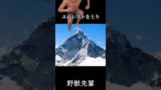 【ネタ動画】新規視聴者が増えました#shorts