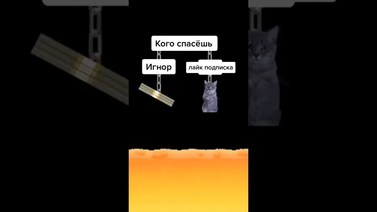 спаси котика 