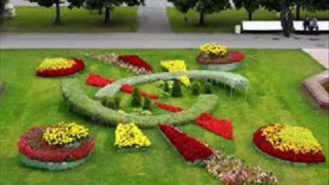 Ландшафтний дизайн