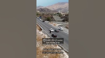 سورة الهمزة بصوت الشيخ شادي حمود