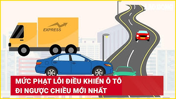 Mức phạt lỗi điều khiển ô tô đi ngược chiều mới nhất | Báo Lao Động