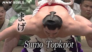 Sumo Topknot [まげ] - SUMOPEDIA