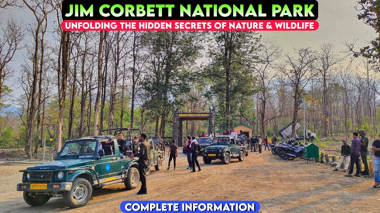 Sitabani Zone | Jim Corbett National Park | Jungle Safari, Stay & Booking A to Z Information
