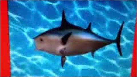 Spongebob Song  (Slow)