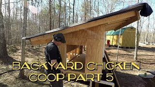 coop chicken build