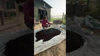 Organic Vermi Compost mixing with Organic Soil Booster and Organic Soil Activator. Enhance soil