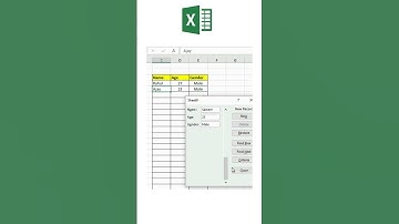 Data Entry Form in Excel #shorts #shortsyoutube #youtubeshorts #short #shortvideo