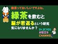 緑茶について