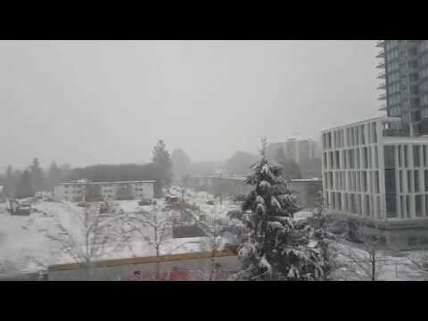 20161218早上 下雪的溫哥華