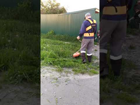 бензиновый триммер патриот 557 про