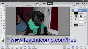 Photoshop Elements 2019 Tutorial Hiding and Showing Layers Adobe Training