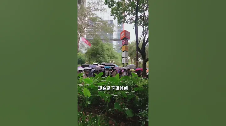 深圳月入2萬的高級打工人如何下班的？深圳南山高新園 - 天天要聞