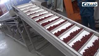 Palm dates processing line come from Colead