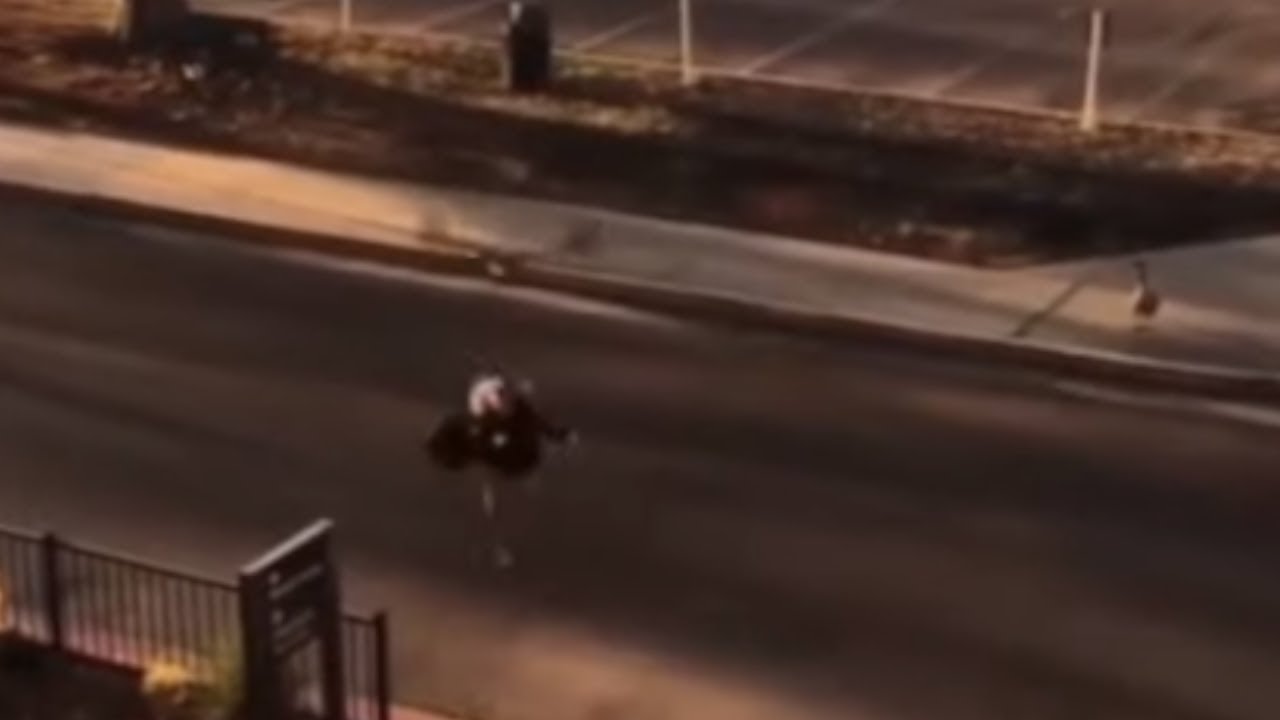 amazing animals youtube These angry geese repeatedly attack anyone walking by!