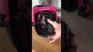 Please excuse how tired I look in the beginning 😅