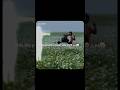 This Bangorððð§ð»ââïž #whatappstatus #hdstatus #vibes #chillaxmusic #trendingshorts