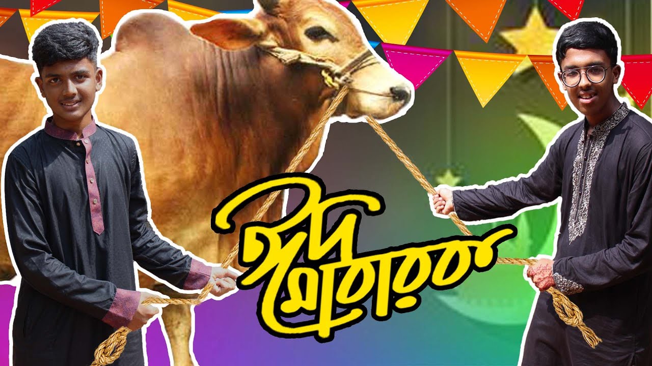 কোরবানি ঈদে হিমেল কি করলো ? | Eid Mubarak (ঈদ মোবারক ) | Qurbani Eid Special VLOG | ARH Vlogs